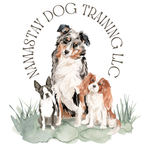 Namastay Dog Training LLC